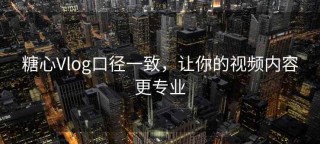 糖心Vlog口径一致，让你的视频内容更专业