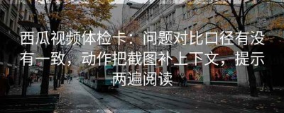 西瓜视频体检卡：问题对比口径有没有一致，动作把截图补上下文，提示两遍阅读