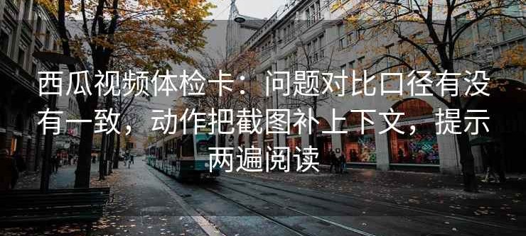 西瓜视频体检卡：问题对比口径有没有一致，动作把截图补上下文，提示两遍阅读